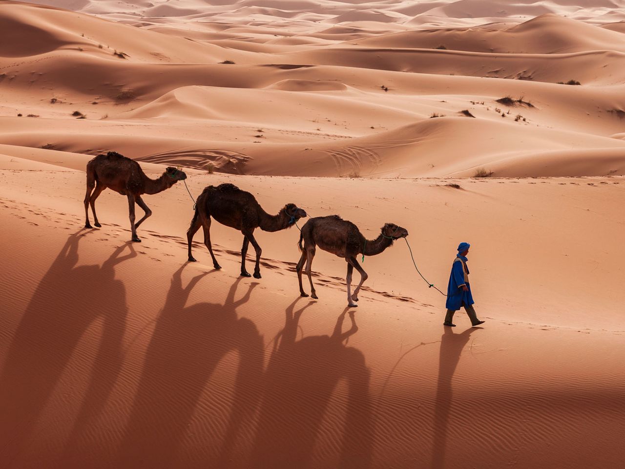 Mann führt Kamele durch Dünenlandschaft Erg Chebbi