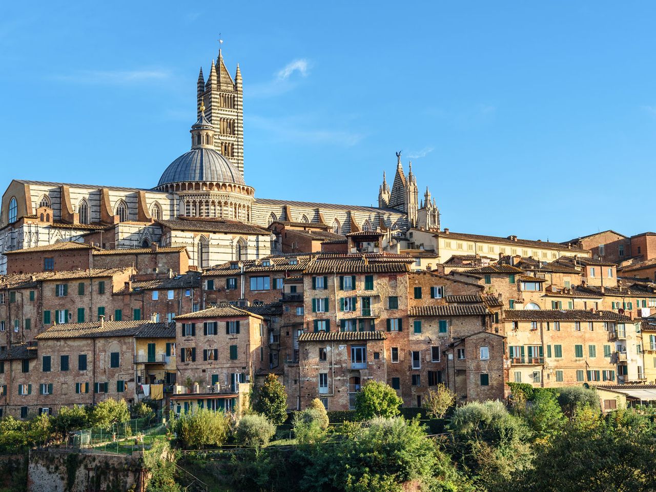 Blick auf die Stadt Siena