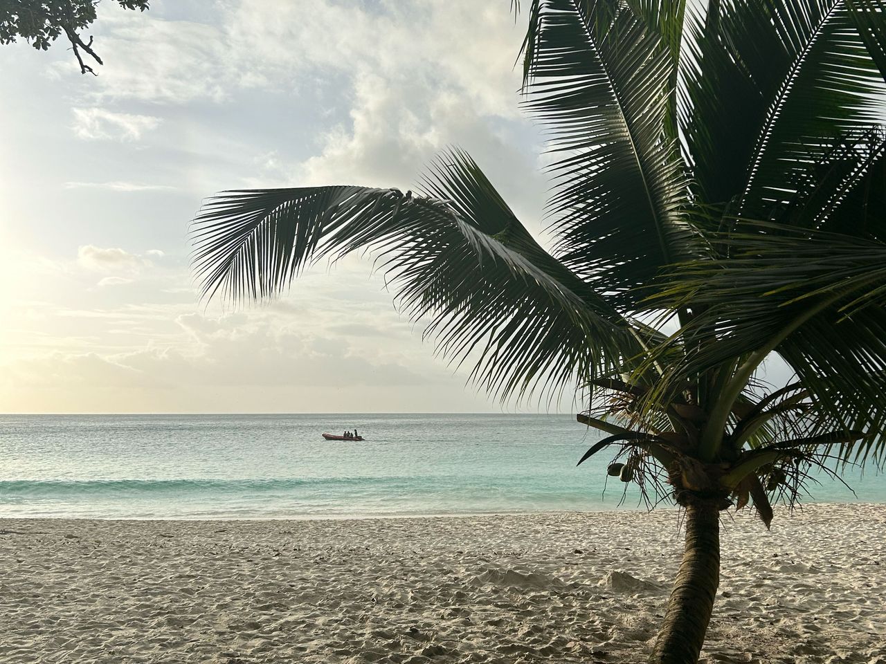 Anse Georgette, Praslin