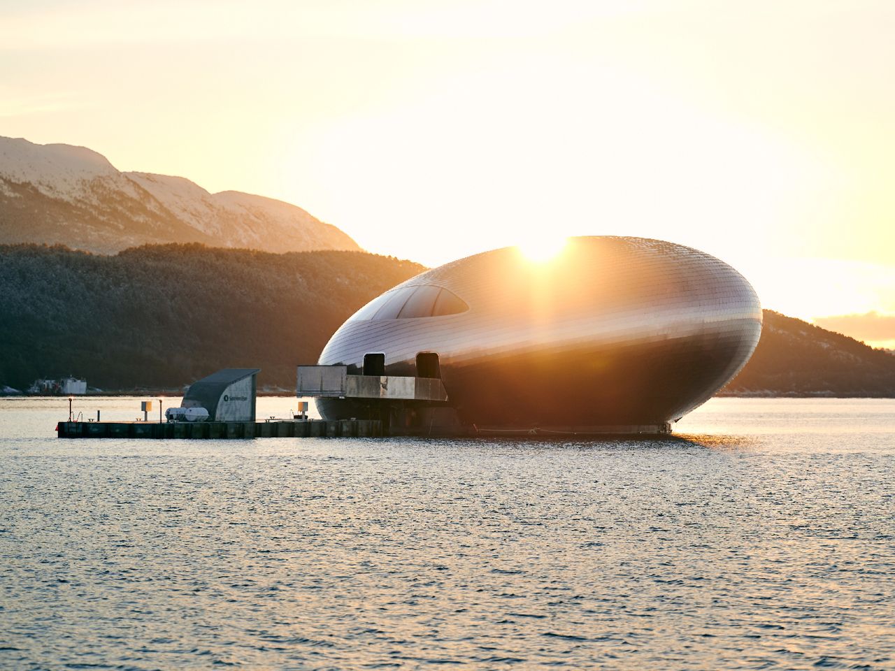 Salmon Eye, Hardangerfjord, Norwegen