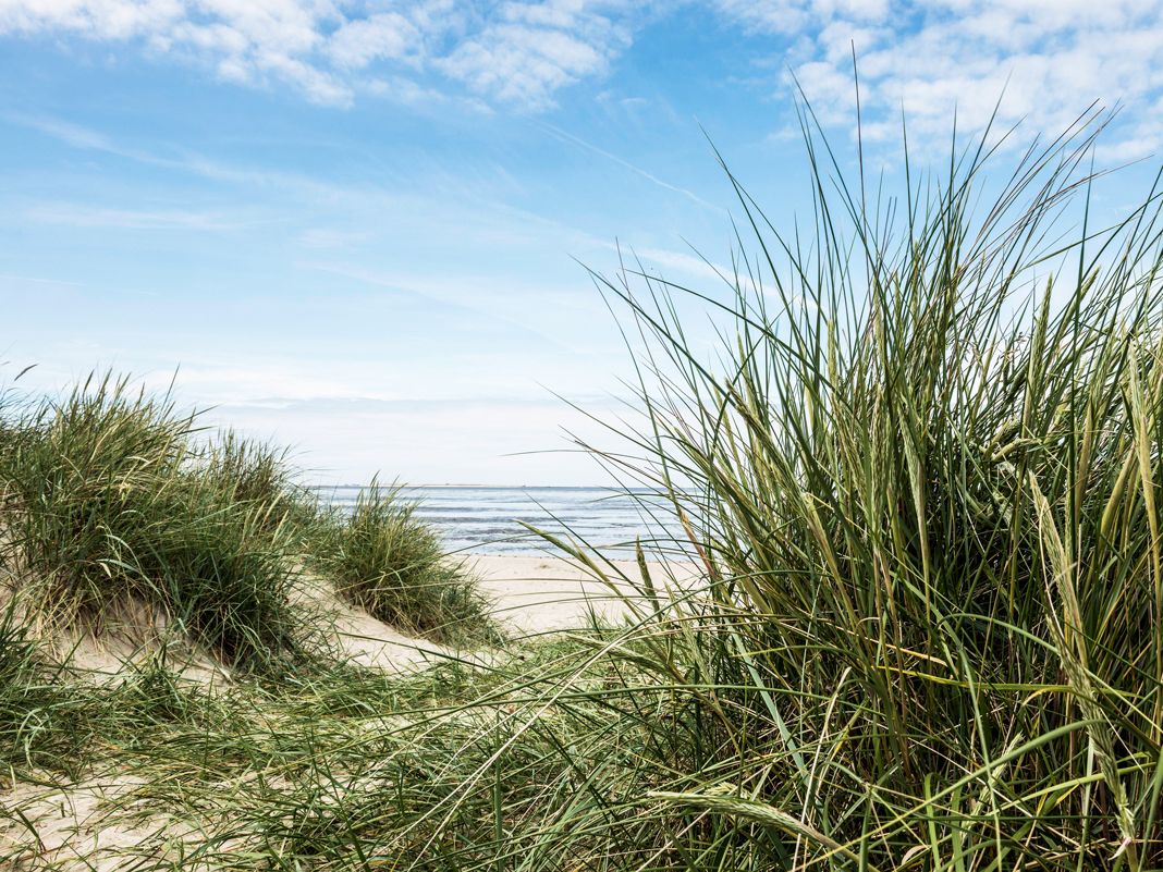 Schillig an der Nordsee, Niedersachsen