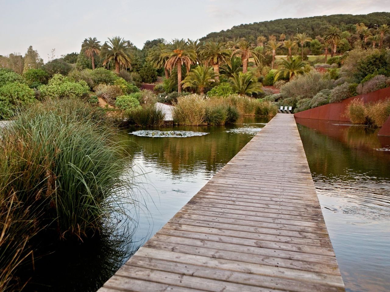 Botanischer Garten, Barcelona Montjüic