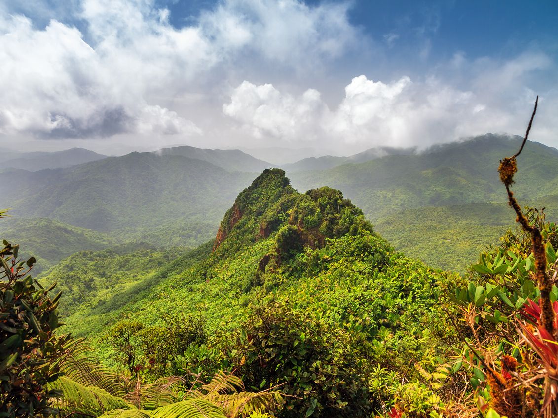 El Yunque, Puerto Rico