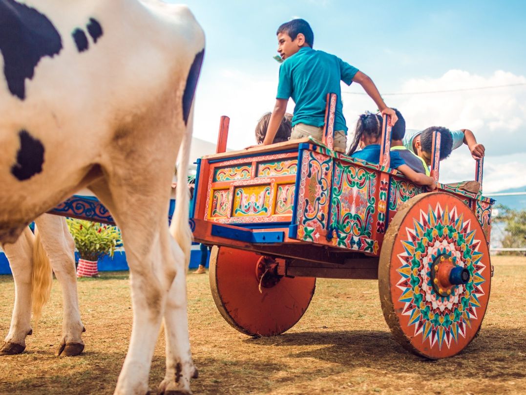 Niños carreta Festival de Boyeros San Antonio de Escazú San José 