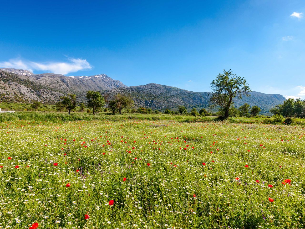 Blick auf die Lassithi-Hochebene auf Kreta