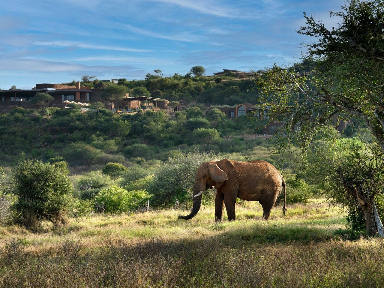 Elefant in der N&auml;he der andBeyond Suyian Lodge, Laikipia