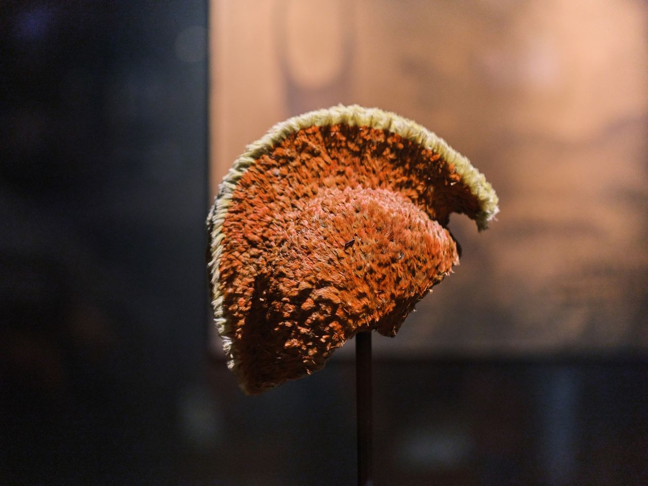 Helm im Bishop Museum