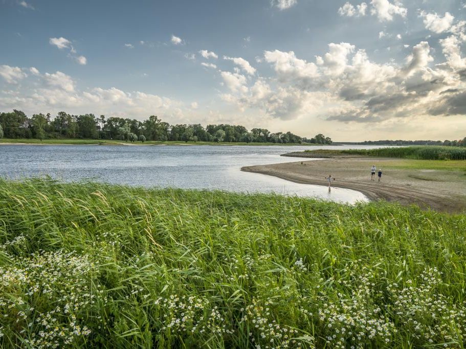 Lenzerwische in Brandenburg