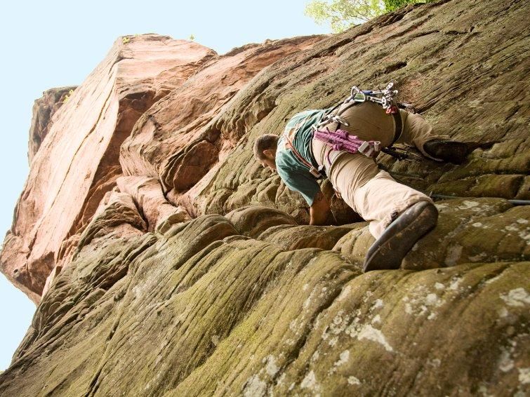 Kletterwand beim Bärenbrunnerhof, Pfälzerwald