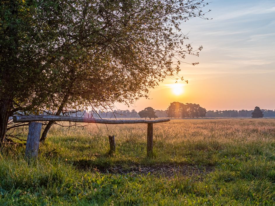 Pietzmoor, L&uuml;neburger Heide