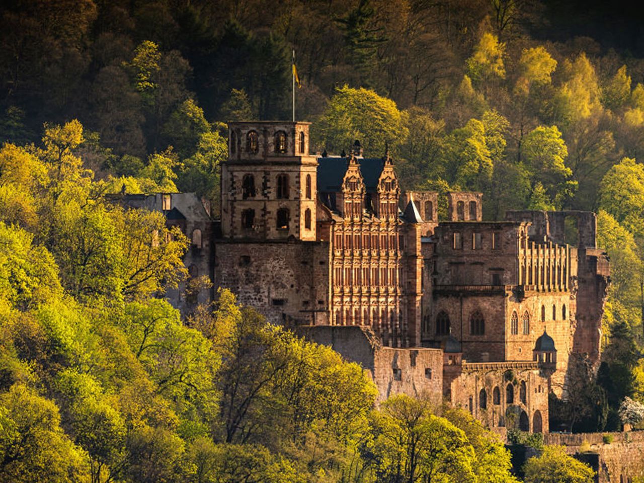 Schloss Heidelberg