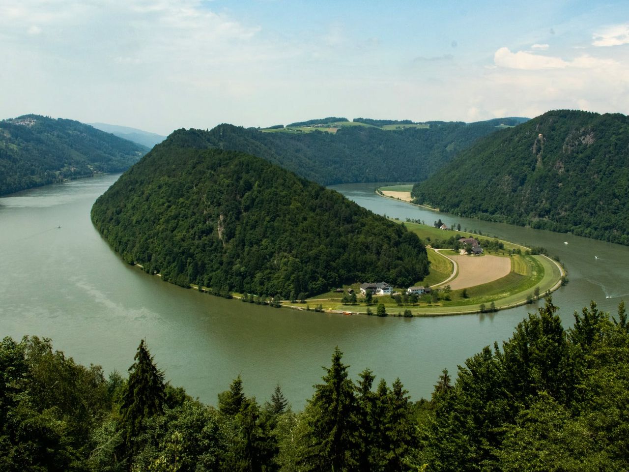 Grüne Natur entlang des Donauufers