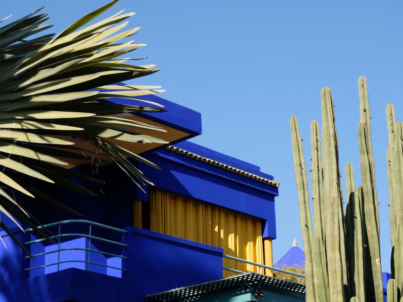 Blick auf den Jardin Majorelle 