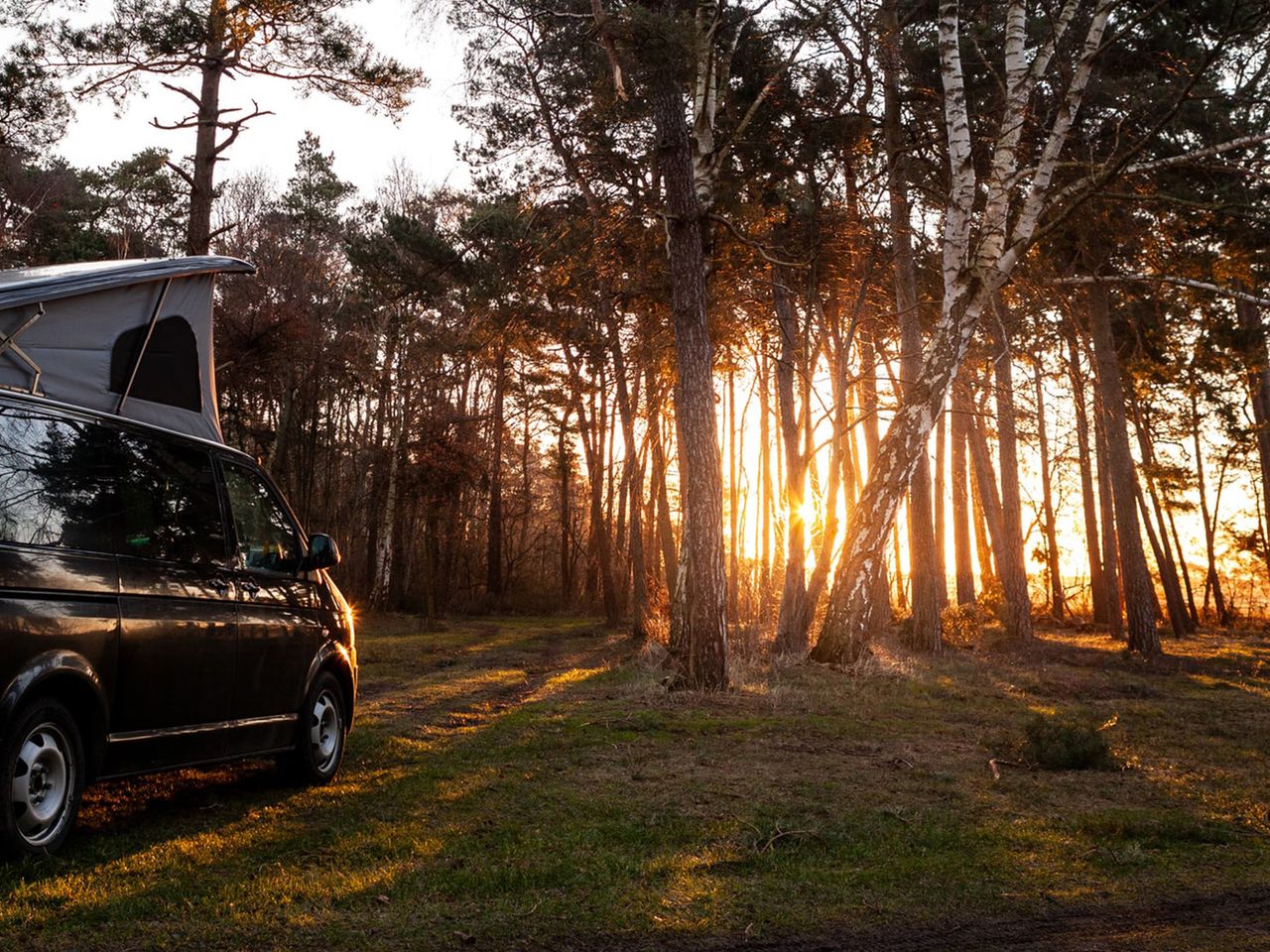 Camping Darß