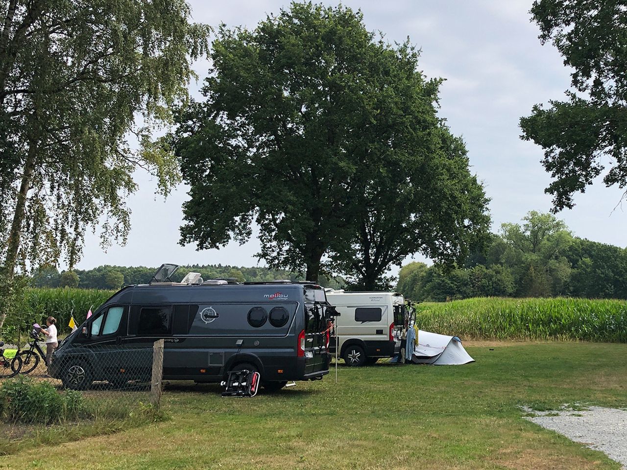 Lüneburger Heide, Stellplatz am Pietzmoor