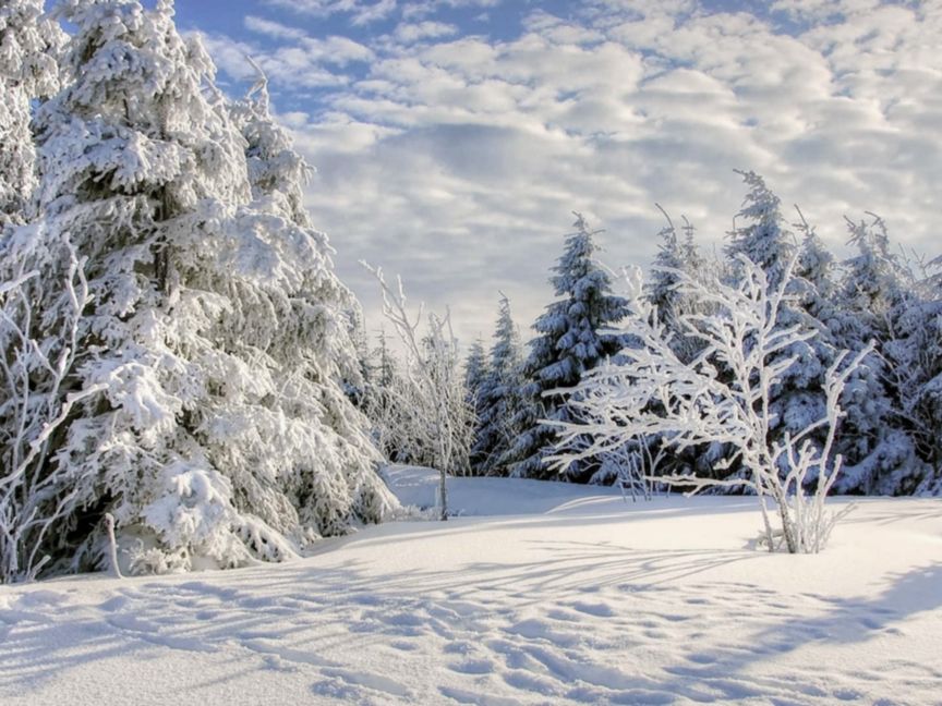 Winterurlaub im Harz, Symbolfoto