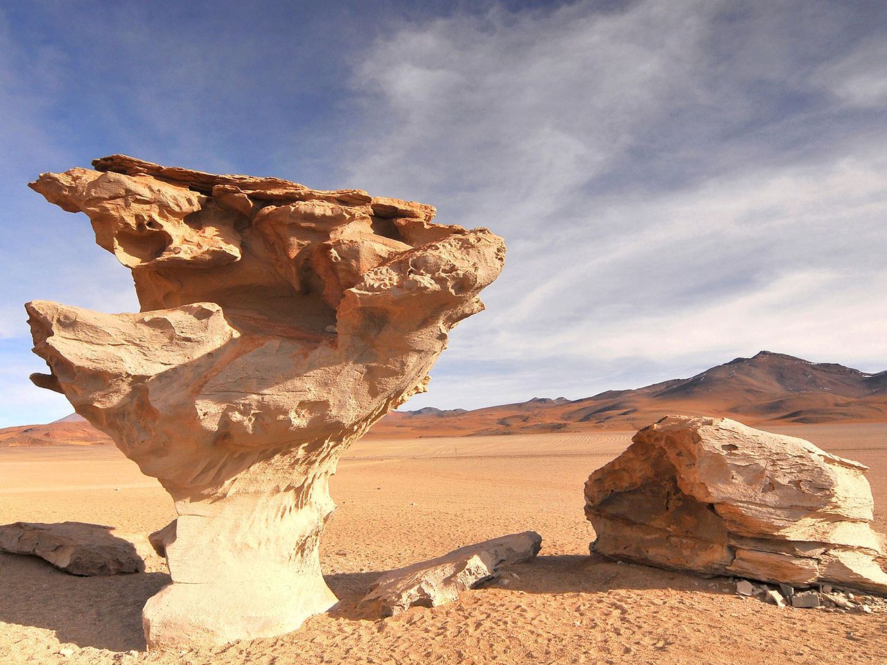 Árbol de Piedra, Fels in der Siloli-Wüste in Bolivien