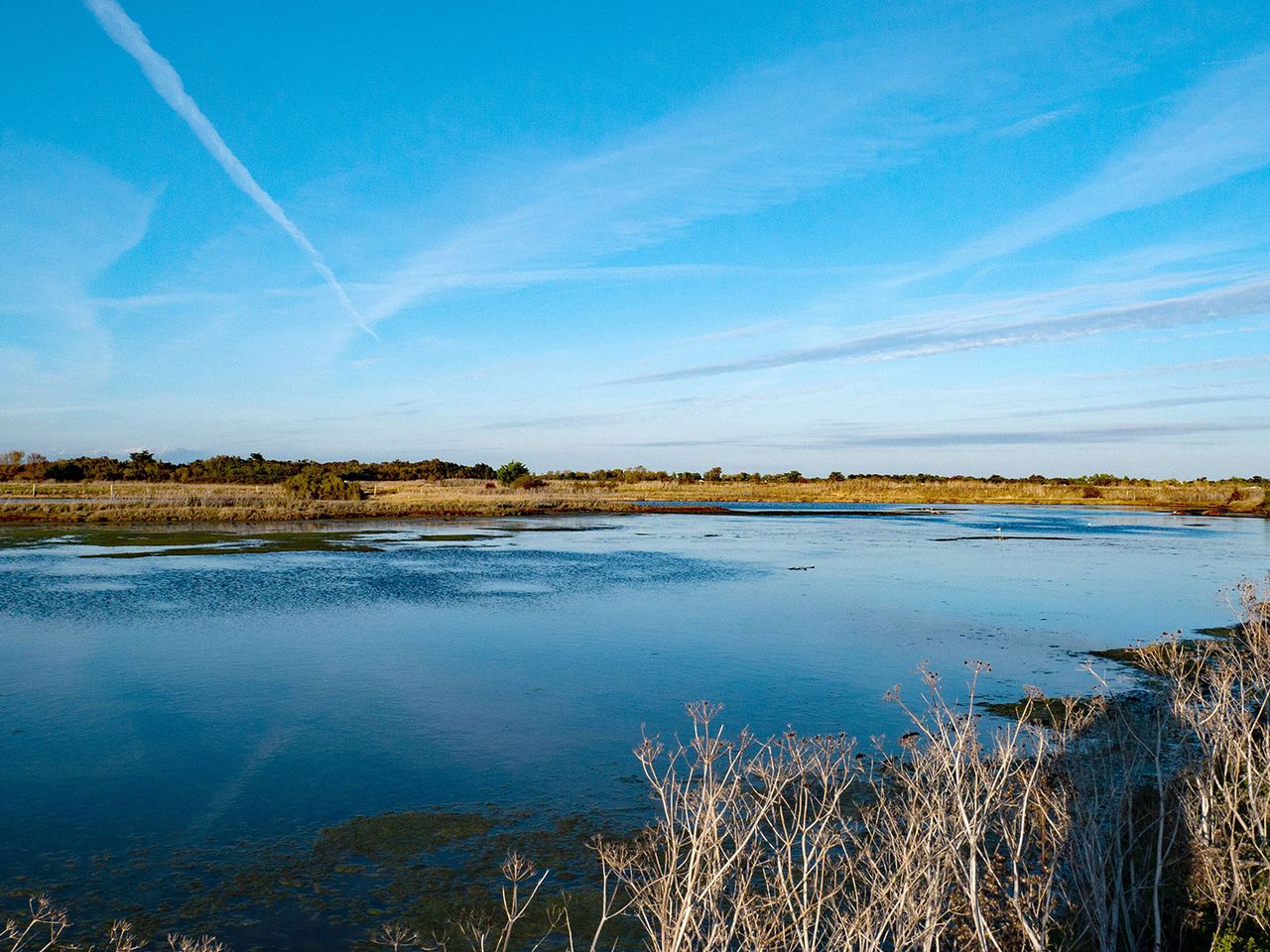 Naturschutzgebiet Lilleau des Niges auf der Île de Ré
