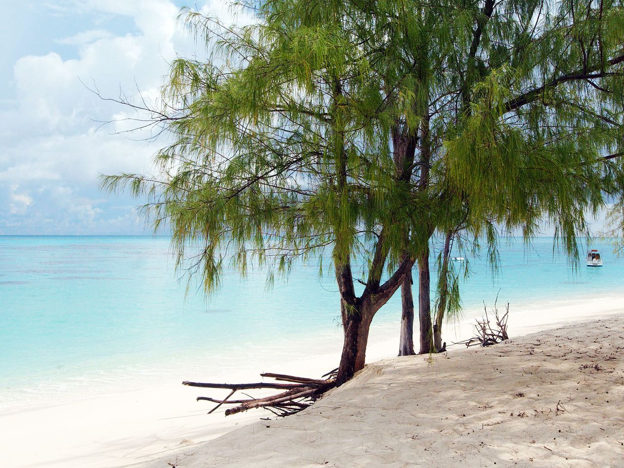 Denis Island, Seychellen