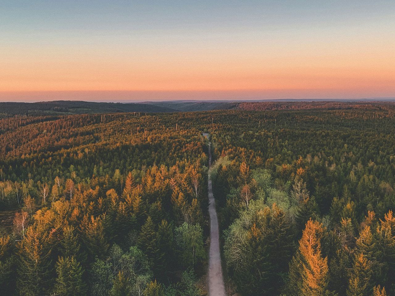Gernsbach in Deutschland, Luftaufnahme vom Waldgebiet