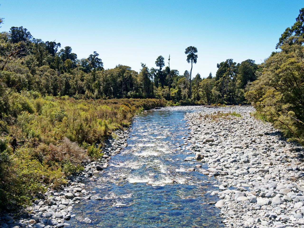 Brown River am Heaphy Track, Neuseeland