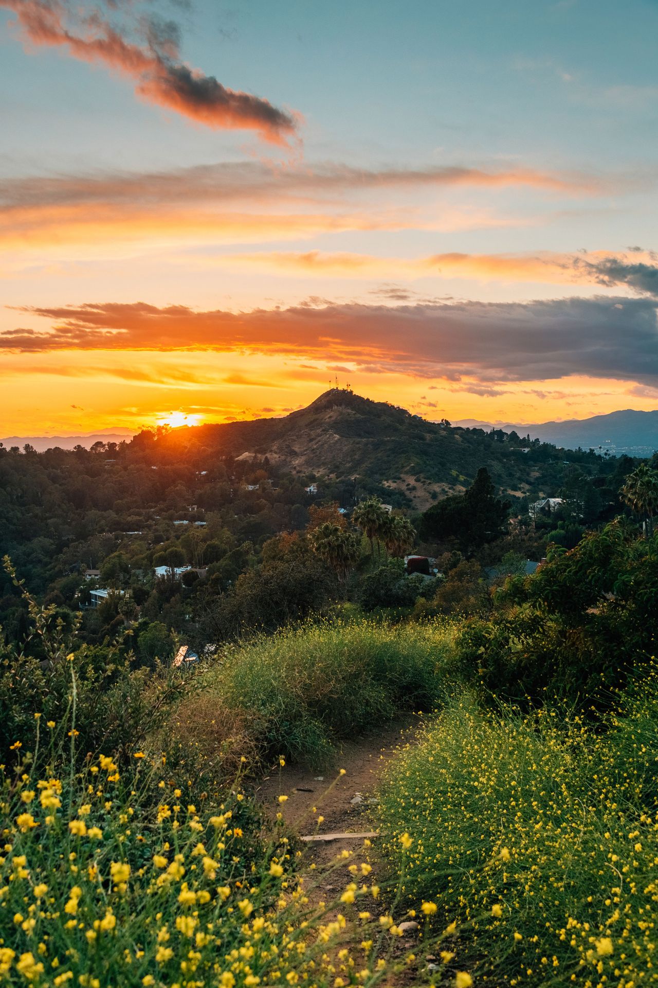 Ausblick bei Sonnenuntergang im Runyon Canyon Park, Los Angeles