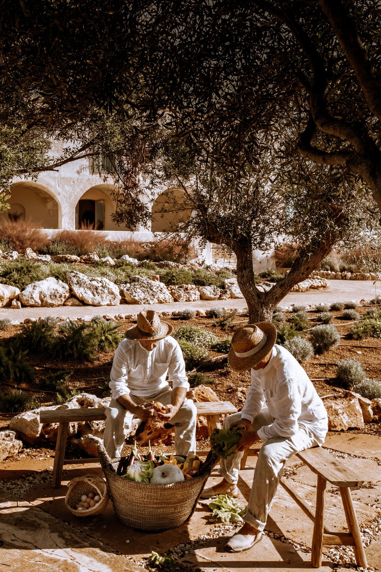 Gem&uuml;seernte im Son Blanc Farmhouse auf Menorca