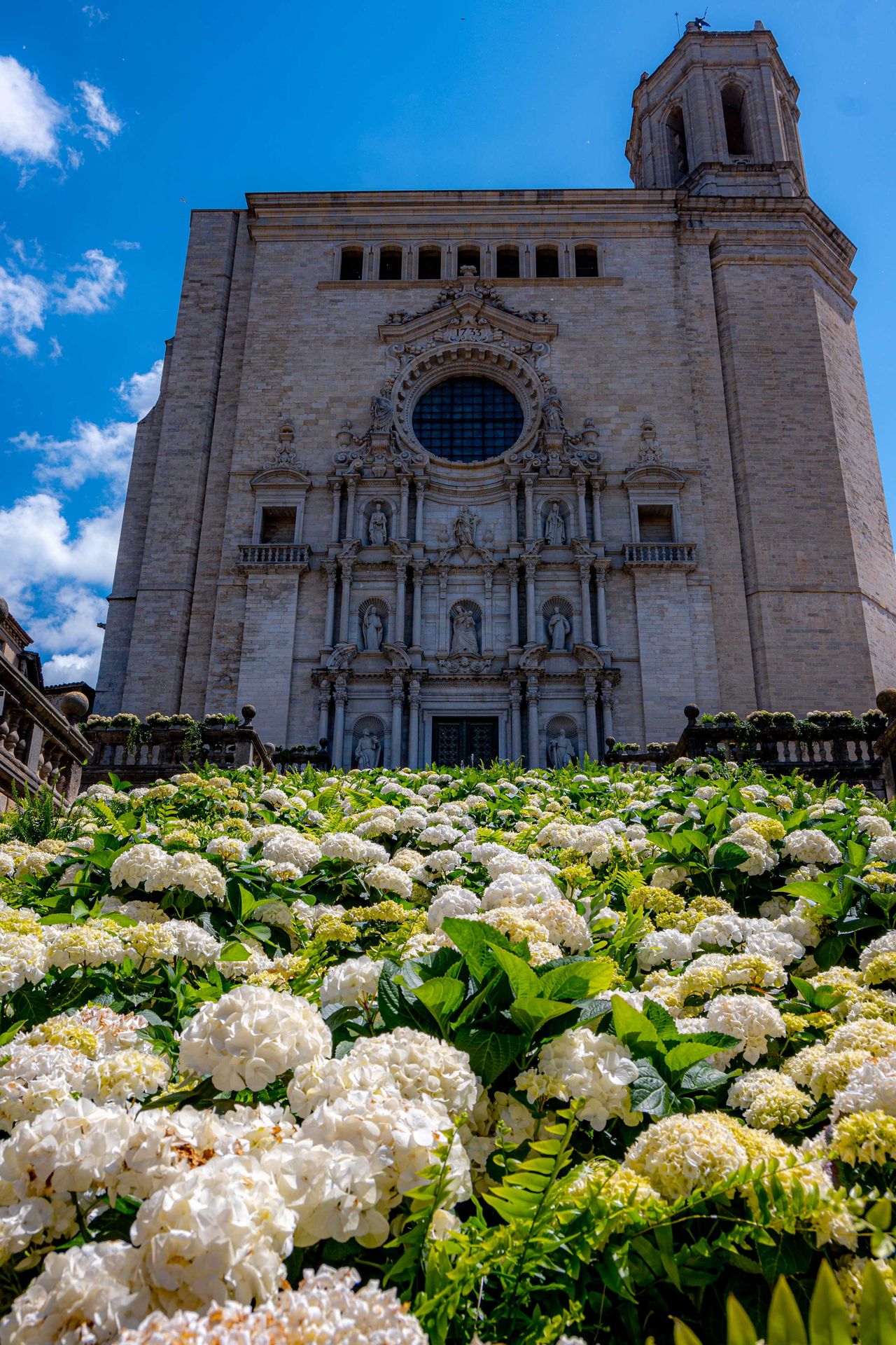 Blumen auf den Stufen der Kathedrale in Girona, Temps de Flors