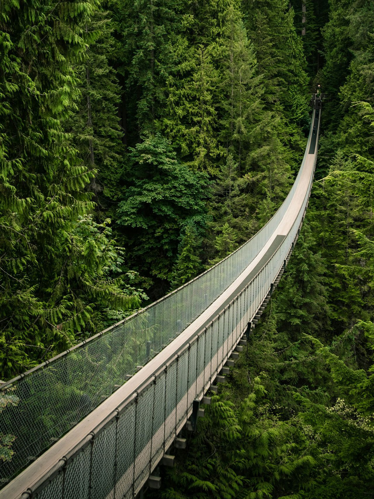 Capilano Suspension Bridge, Vancouver