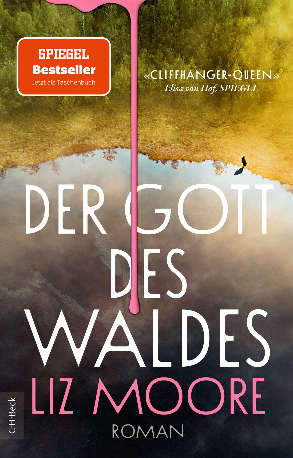 Cover „Der Gott des Waldes“ von Liz Moore