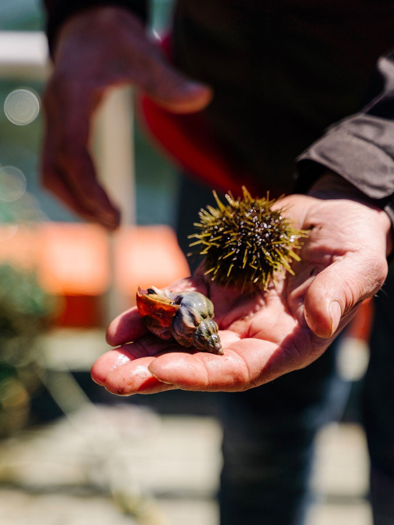 Seafood in Neufundland, Kanada