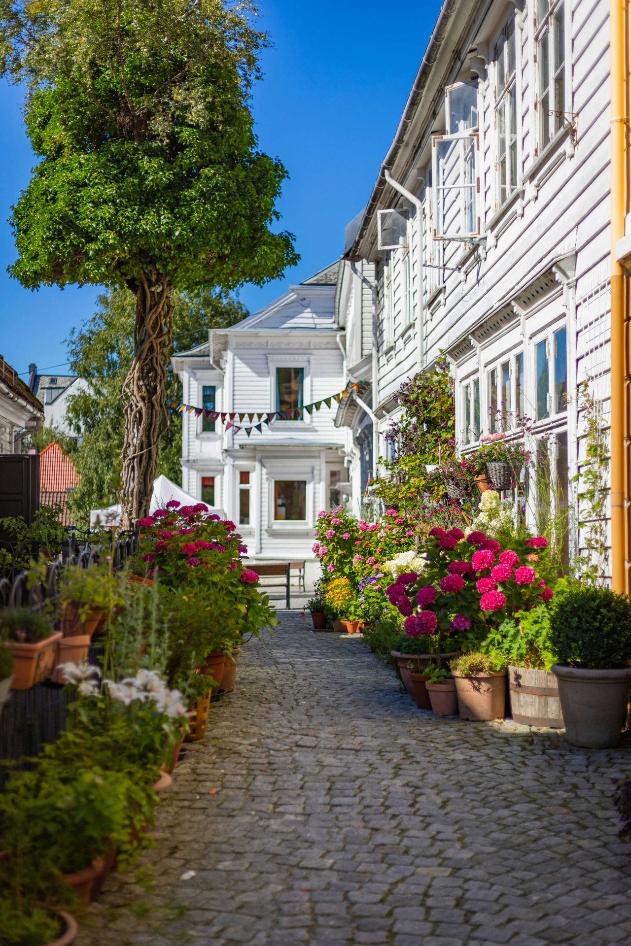 malerische Gasse in Bergen, Norwegen
