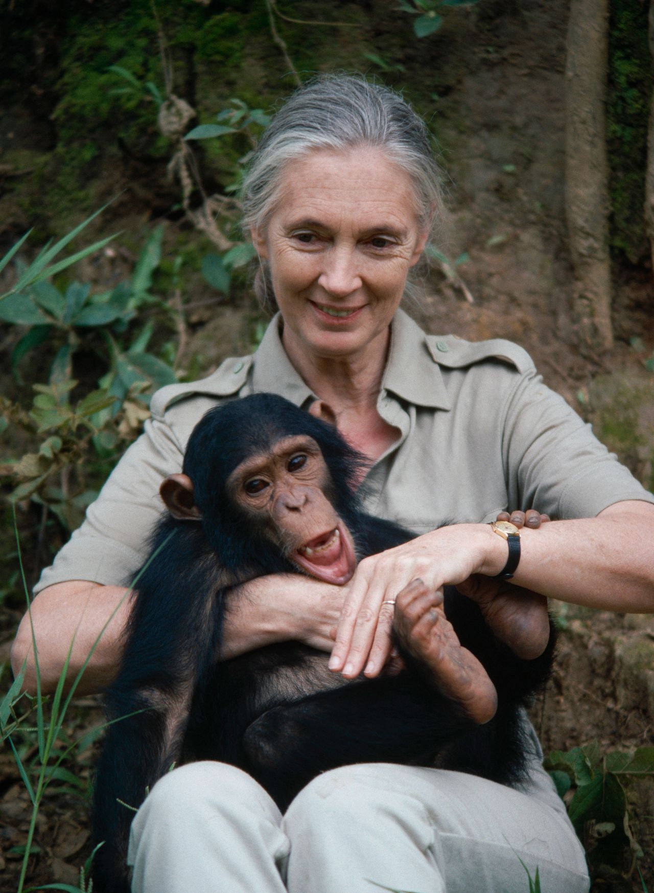 jüngere Jane Goodall mit Schimpansenbaby auf dem Schoß
