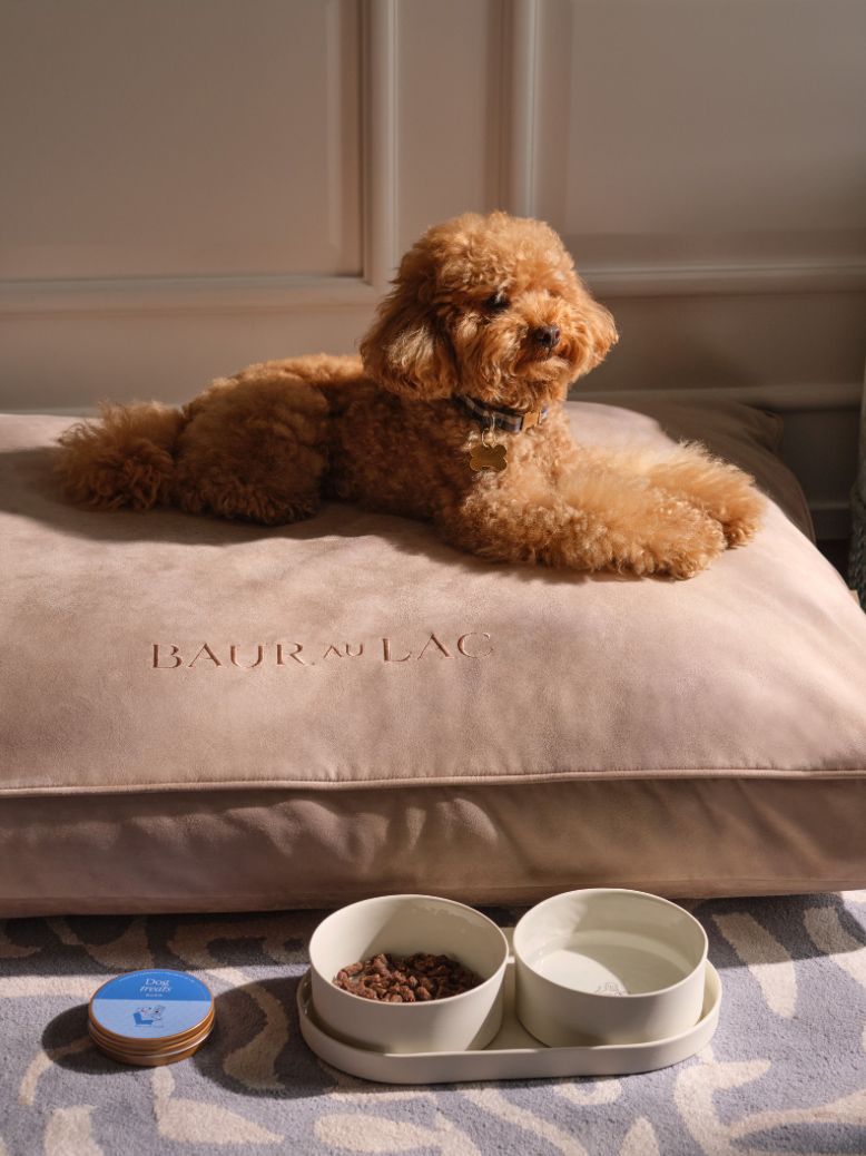 Hunde im Baur au Lac, Z&uuml;rich