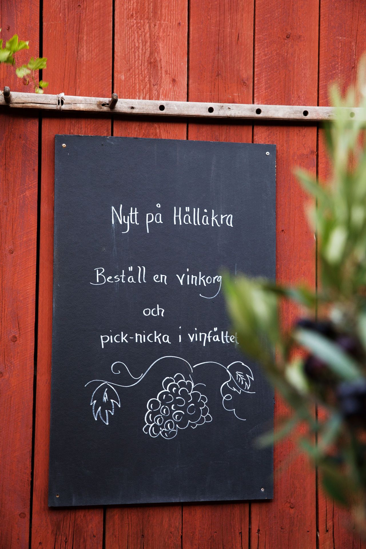 beschriftete Tafel auf dem H&auml;ll&aring;kra Ving&aring;rd in Andersl&ouml;v