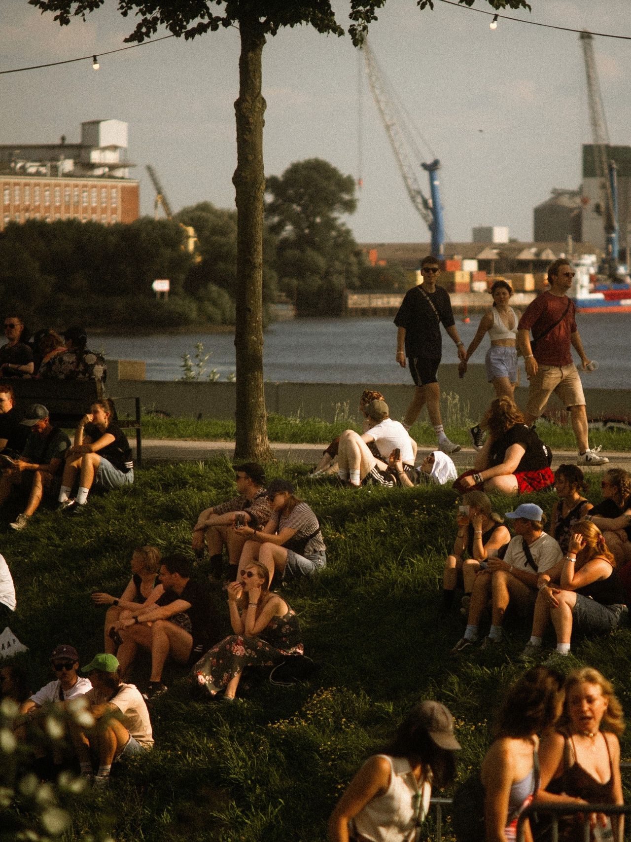 MS Dockville