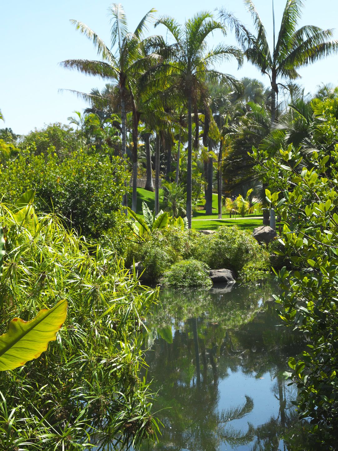 Palmetum in Santa Cruz, Teneriffa