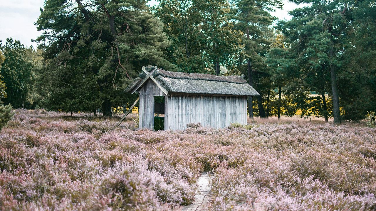 kleiner Stall in der Lüneburger Heide