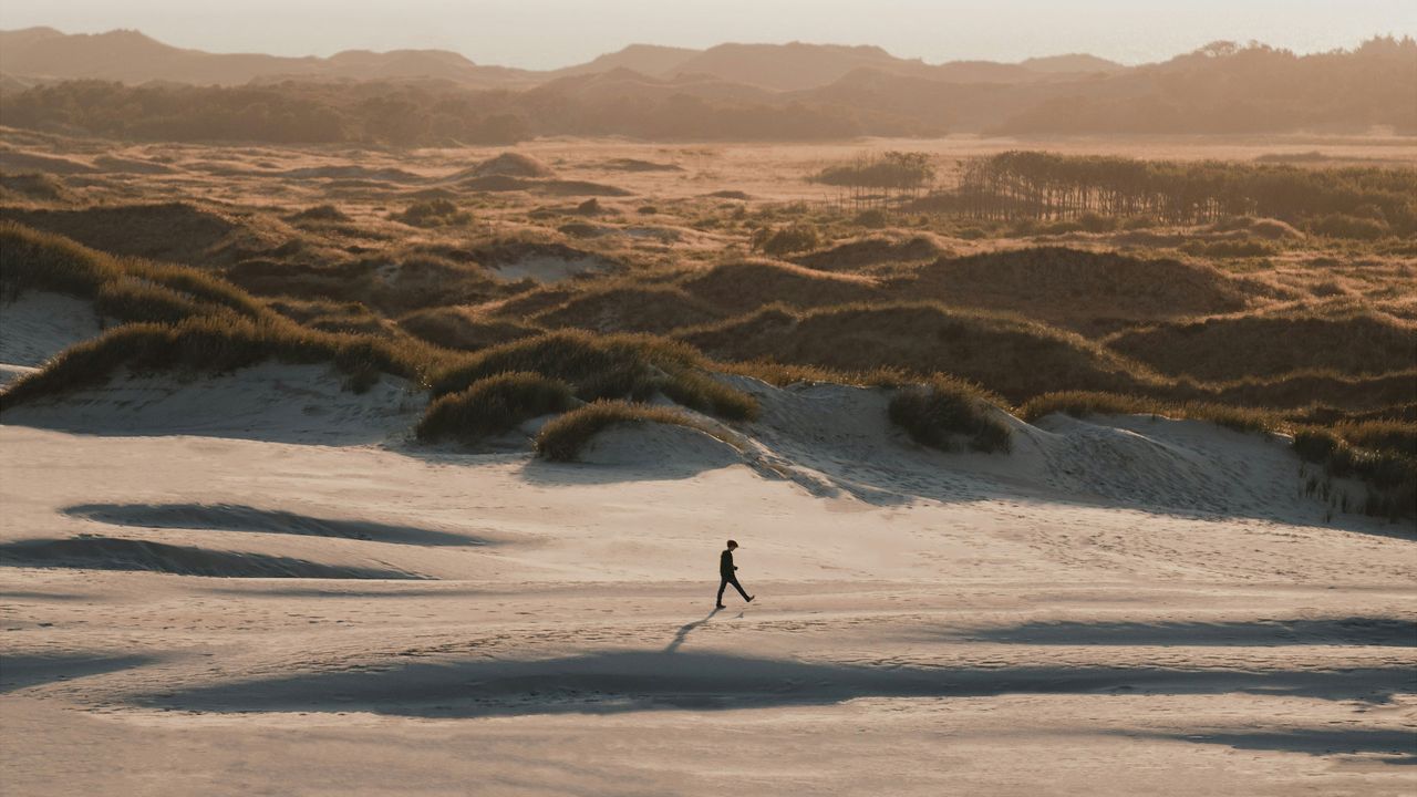 Mensch läuft am Strand entlang, Wanderdüne in Råbjerg
