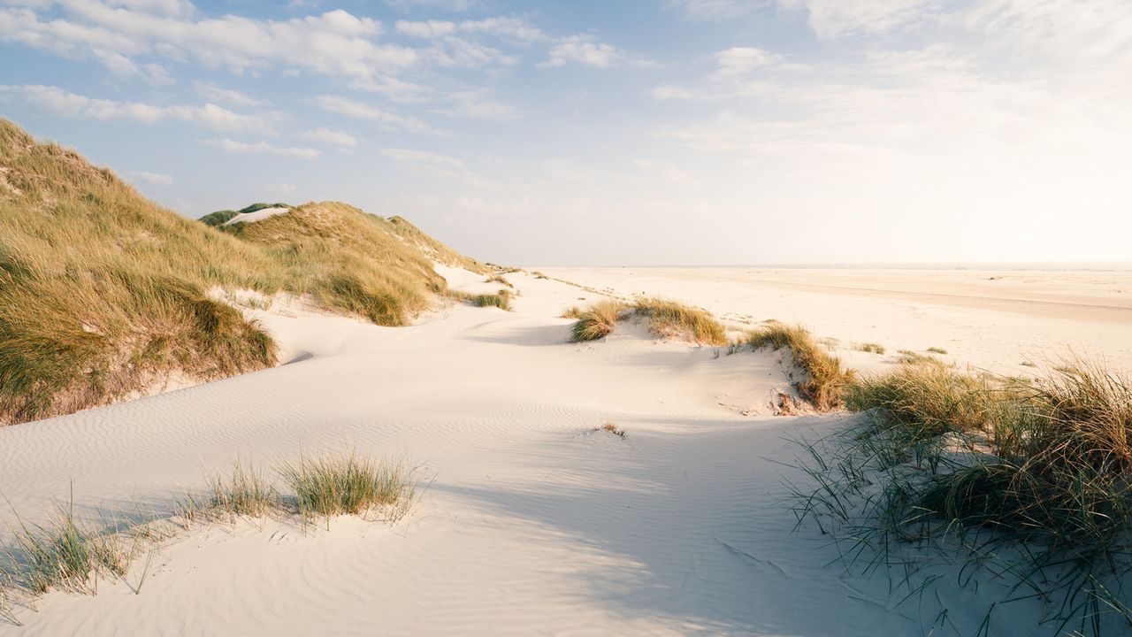 Strand von Amrum, Schleswig-Holstein
