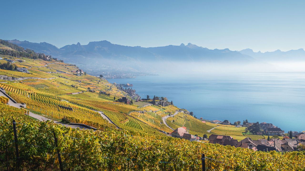 Blick auf den Genfersee, Lavaux-Region