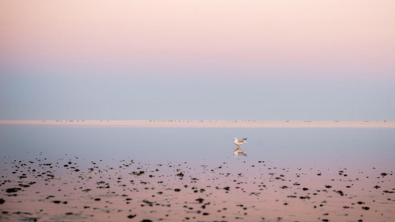 Wattenmeer Nordsee
