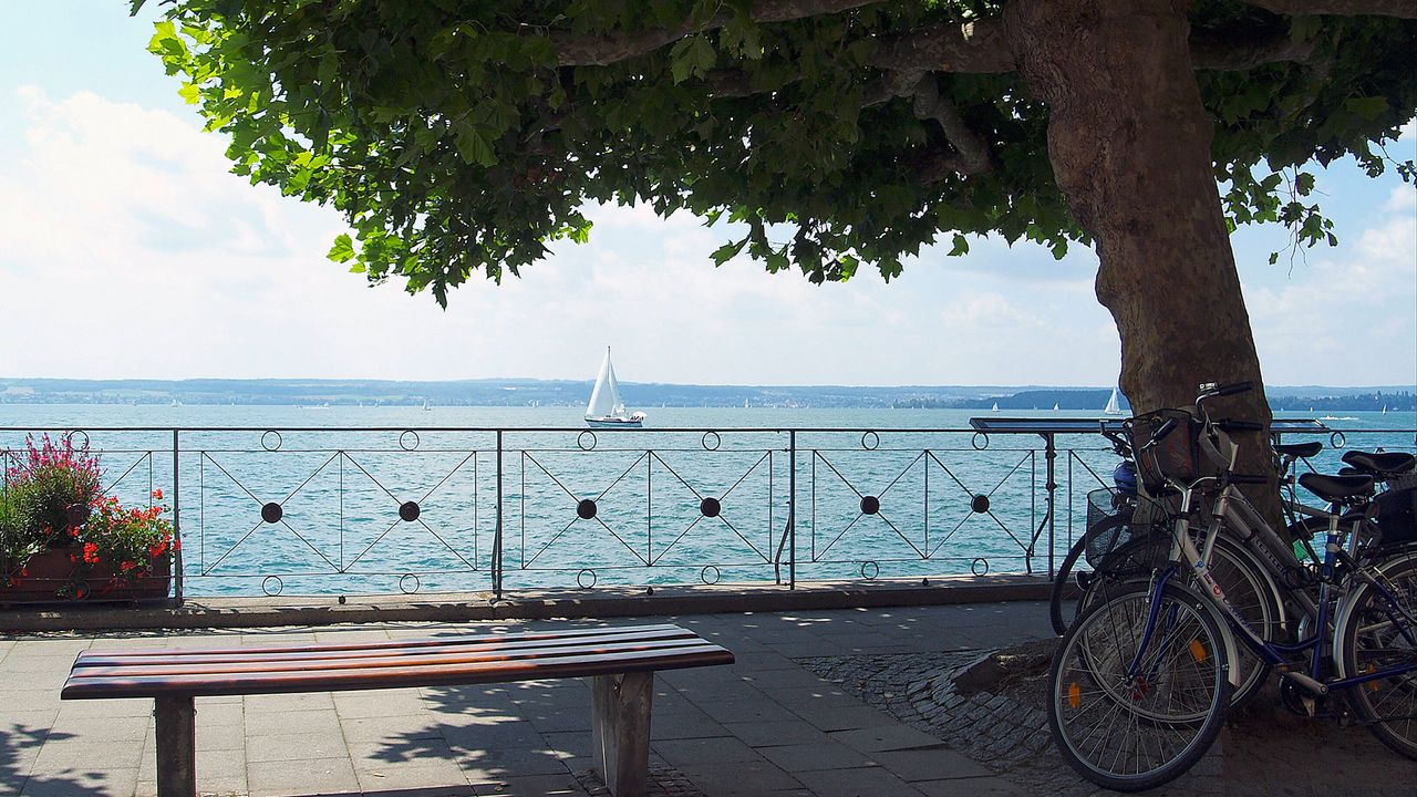 Fahrräder am Ufer des Bodensees, Ausblick auf den See