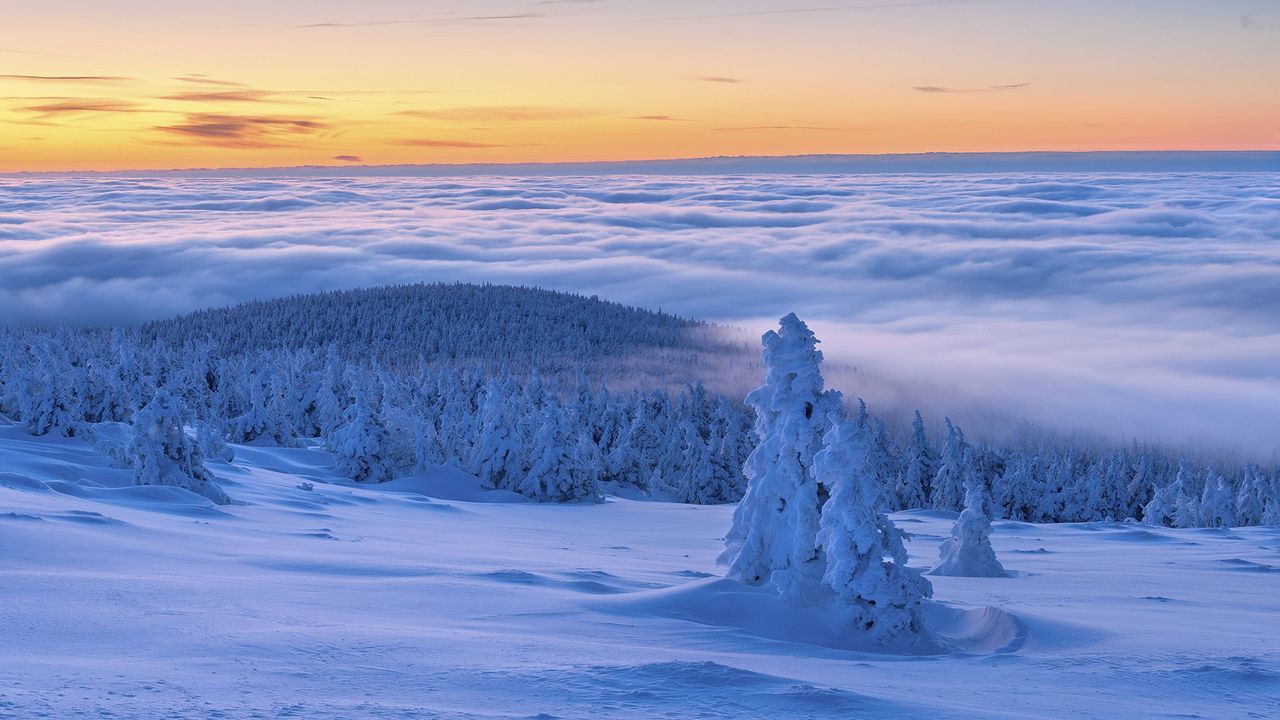 Brocken beim Sonnenaufgang, verschneit