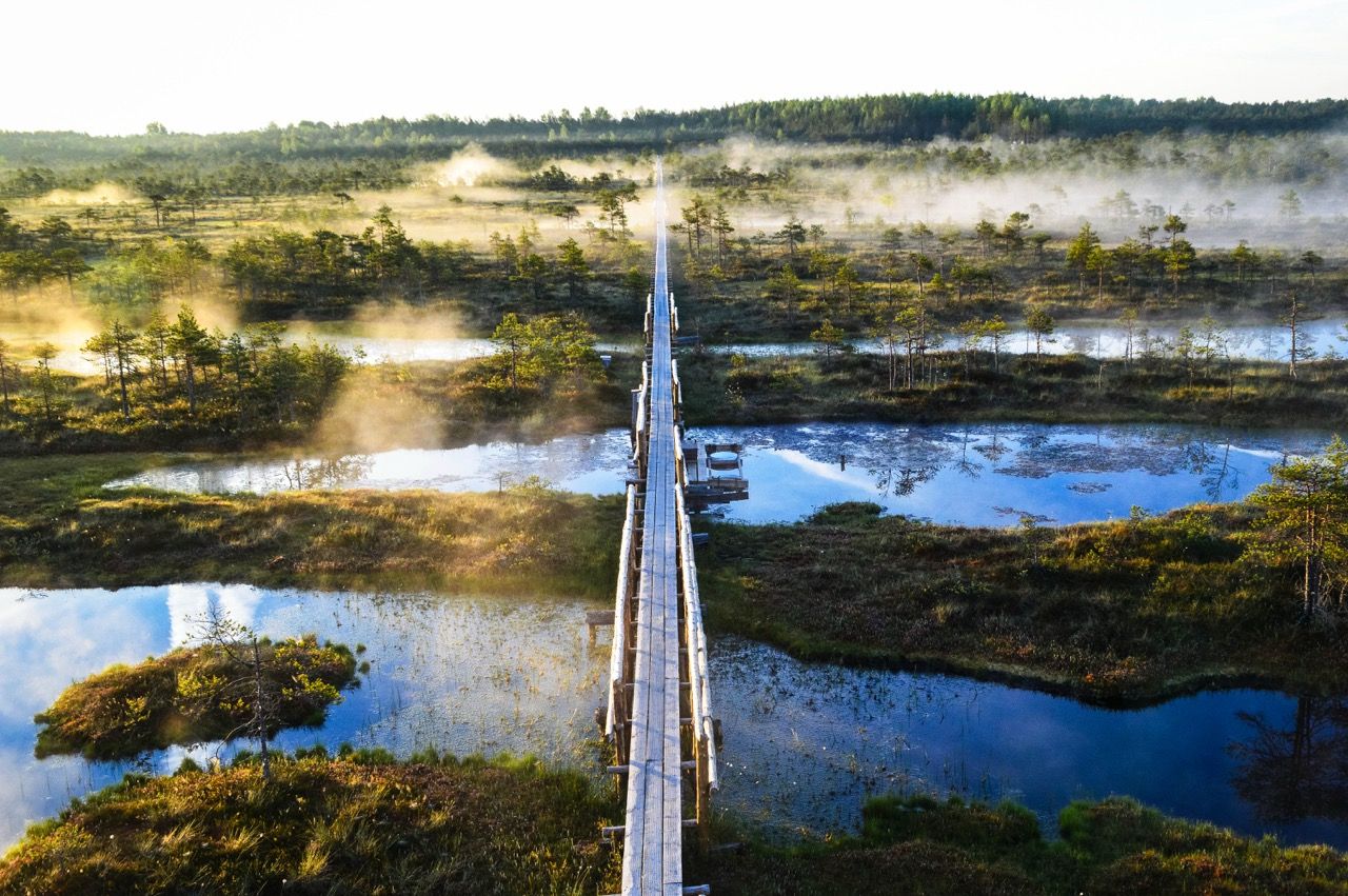 Männikjärve Bog, Photo by Kaisa Äärmaa