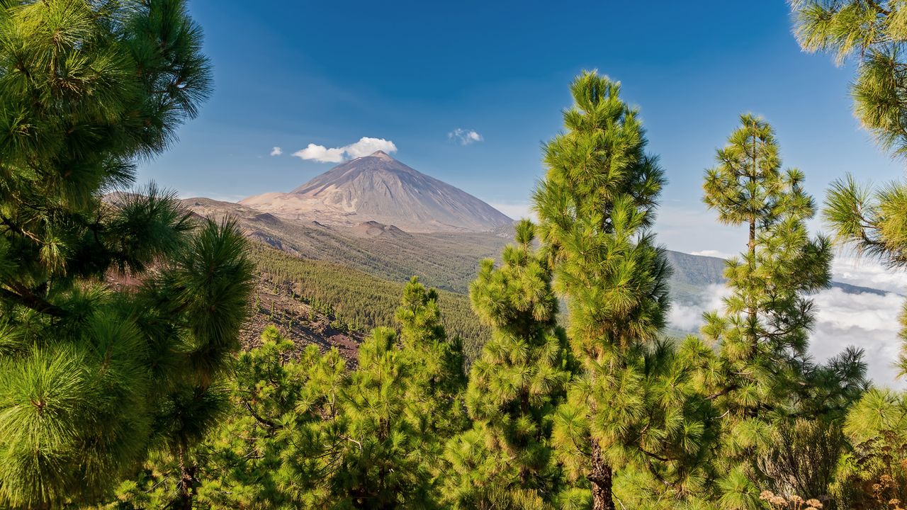 Teide Vulkan auf Teneriffa