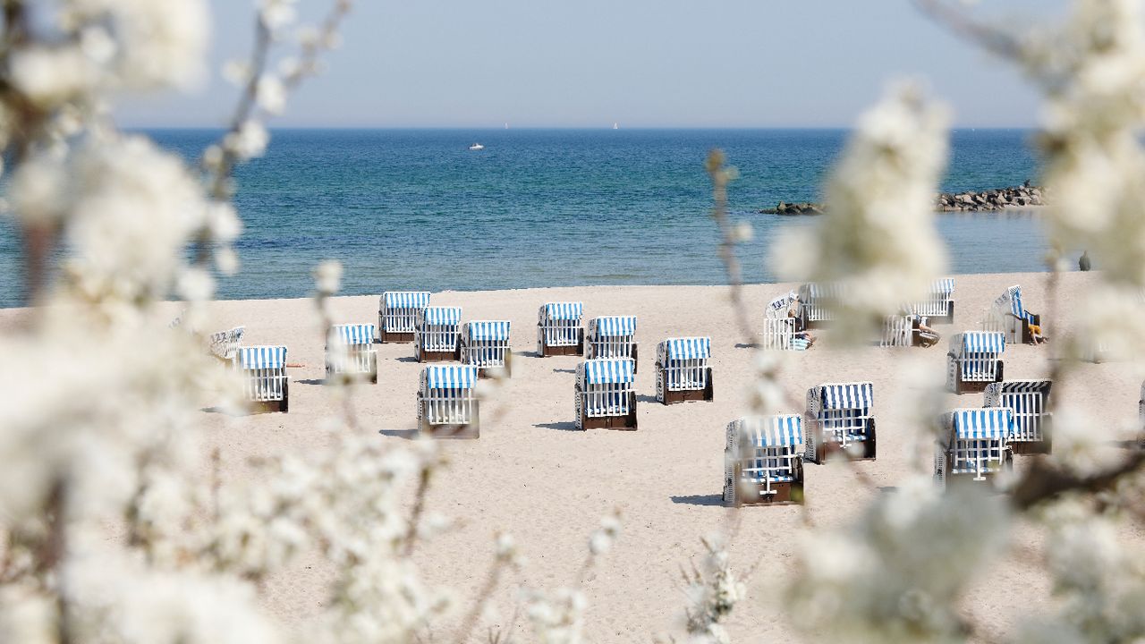 Der Ostsee-Strand von Kühlungsborn