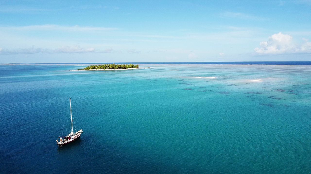 Morsa vor den Tuamotus, Französisch-Polynesien