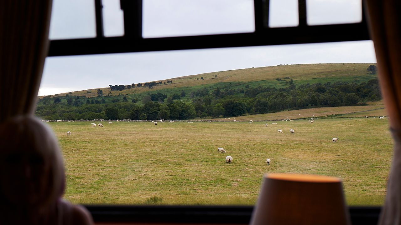 Schottland, Blick aus dem Royal Scotsman