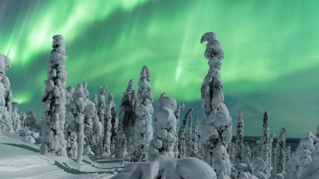 Lappland im Winter